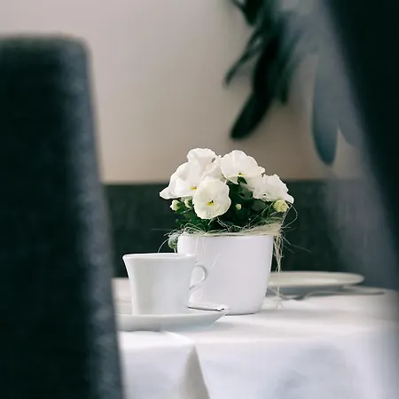 Garni Oberanger Hotel 3*